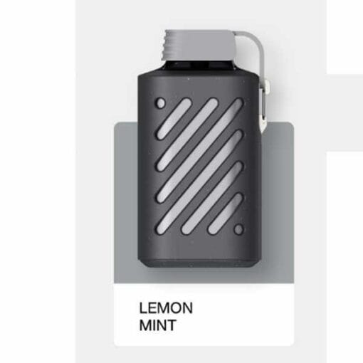 Vozol 10000 Nane Limon Aromalı