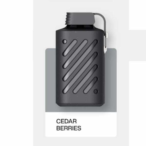 Vozol 10000 Greyfurt Aromalı